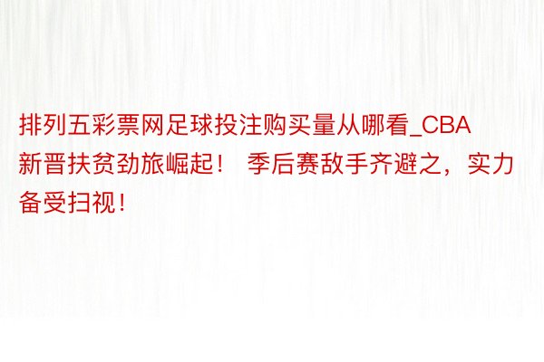 排列五彩票网足球投注购买量从哪看_CBA新晋扶贫劲旅崛起！ 季后赛敌手齐避之，实力备受扫视！