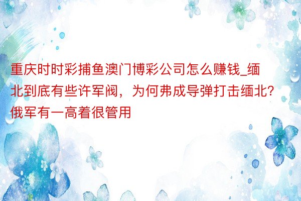 重庆时时彩捕鱼澳门博彩公司怎么赚钱_缅北到底有些许军阀，为何弗成导弹打击缅北？俄军有一高着很管用