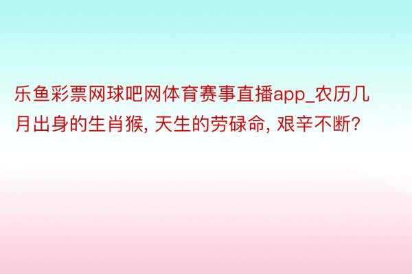 乐鱼彩票网球吧网体育赛事直播app_农历几月出身的生肖猴, 天生的劳碌命, 艰辛不断?